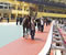 Parade Ring