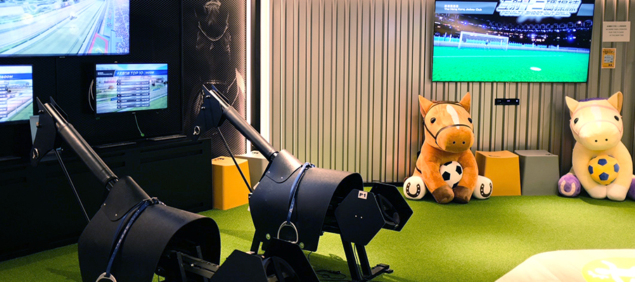 Train to Win comprises training and leisure facilities. The training facilities provide a first-person perspective of a jockey or football player through simulation.